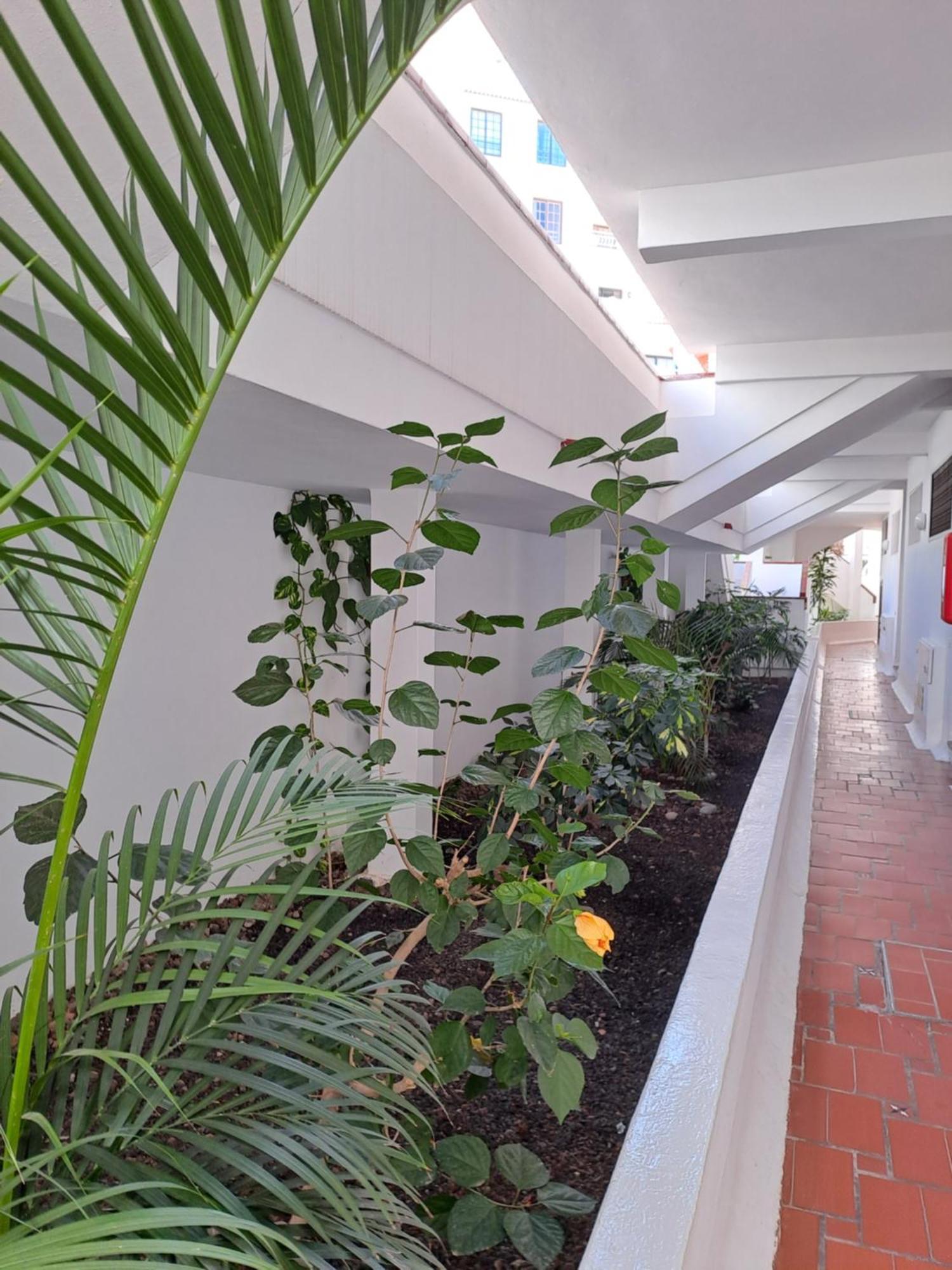Ancora Home, Los Diamantes, Tenerife Los Cristianos  Bagian luar foto